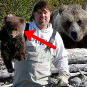 Fisherman saves a bear cub: the next day the mother bear comes to him with a gift