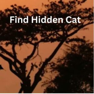 “Optical Illusion Challenge”: Spot The Hidden Cat In This Scene