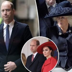 KENSINGTON PALACE ISSUES KATE MIDDLETON HEALTH UPDATE AFTER PRINCE WILLIAM PULLS OUT OF MEMORIAL