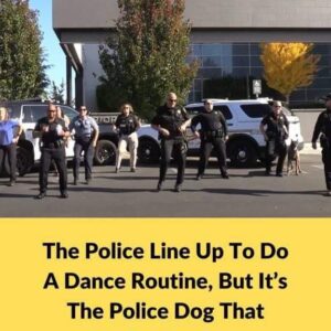 The Police Line Up to Do a Dance Routine, But It’s The Police Dog That Steals The Show