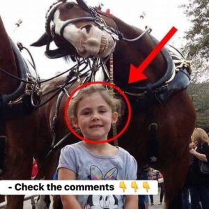 The father takes a picture of his daughter next to a horse. On closer inspection, he cannot believe what he sees