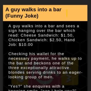 A guy walks into a bar (Funny)