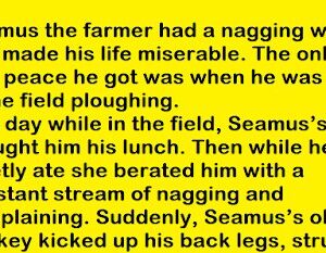 Seamus the farmer had a nagging wife – Funny Joke