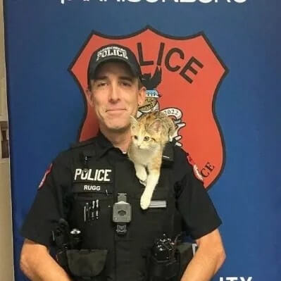 Kitten thrown from vehicle gets adopted by responding police officer(video)