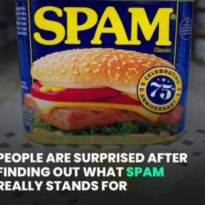 People are surprised after finding out what SPAM really stands for