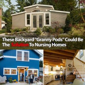 ‘Granny Pods’ let your aging parents live in your backyard