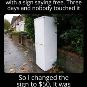 I put this old fridge outside with a sign saying free.