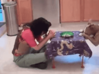 Dog Heard Her Mom Sneeze. But Wait Till You See Her Reaction! I Can’t Believe My Eyes!