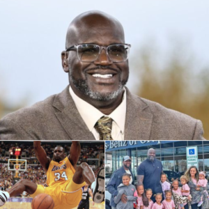 Woman runs into Shaquille O’Neal at Best Buy, what he does next is something she never expected