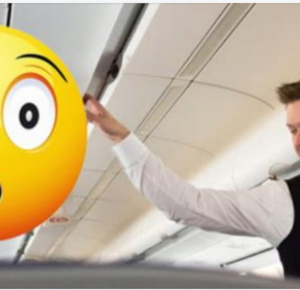 Flight Attendant Gives Hilarious Response To An Arrogant Rich Woman