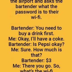 A man goes into a bar in the airport and asks the bartender what the password is to their wi-fi…