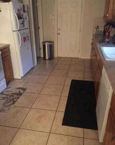 There’s a big dog hiding in this kitchen, but only a few can find it.