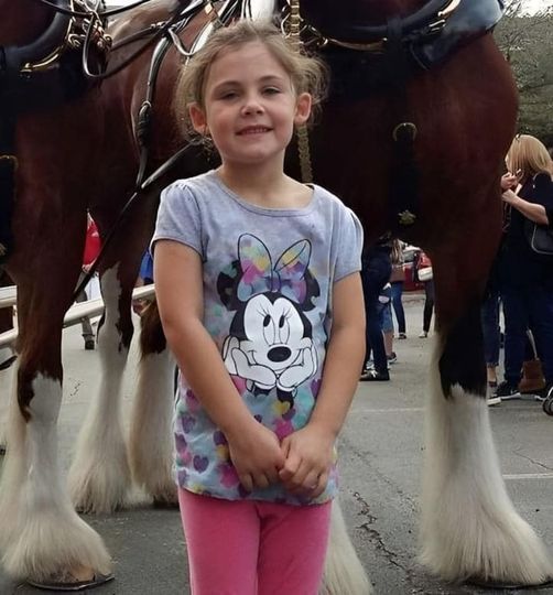 Dad takes daughter’s photo in front of giant horse