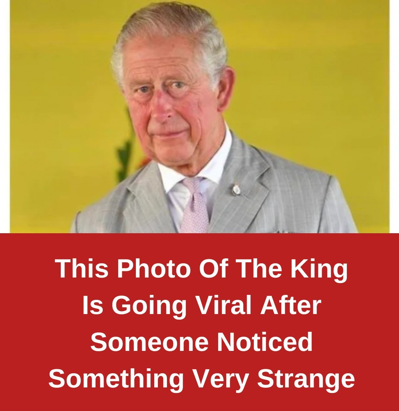 This Photo Of The King Is Going Viral After Someone Noticed Something Very Strange