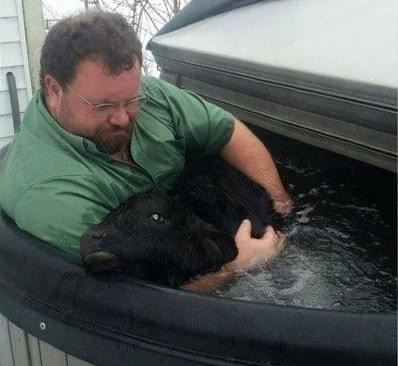 Farmer finds newborn calf freezing in the snow — and saves his life with a hot tub… Read full story in comment 👇