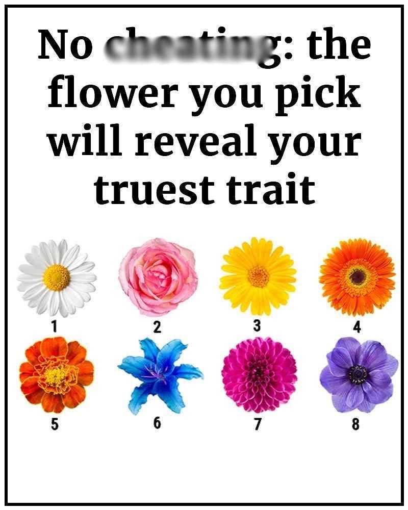 The Flower You Pick Will Reveal Your Truest Trait