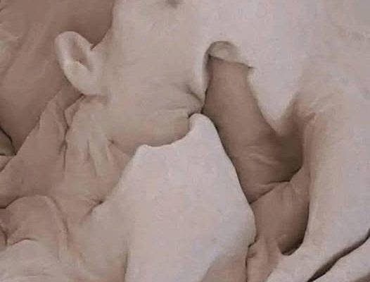 8 Steps to make a woman come in less than a minute …See Mor