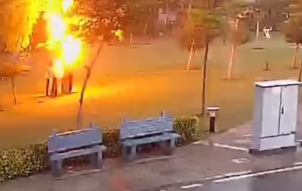 Lightning strikes four men standing under tree in a Gurgaon park, all fall to the ground