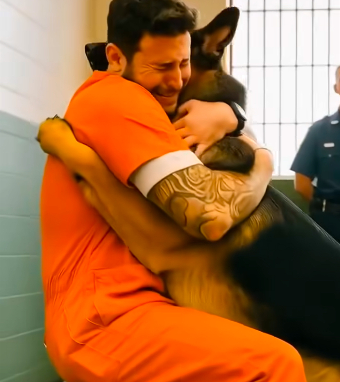 A Prisoner’s Final Wish Was To See His Dog — But When The German Shepherd Broke Free And Rushed Into His Arms Something Strange Happened